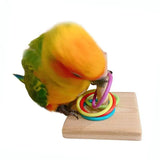 Bird Training Puzzle Toy