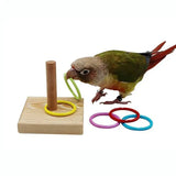 Bird Training Puzzle Toy