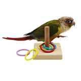 Bird Training Puzzle Toy