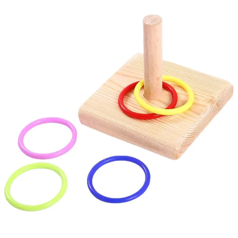 Bird Training Puzzle Toy