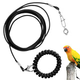Bird Flight Training Leash