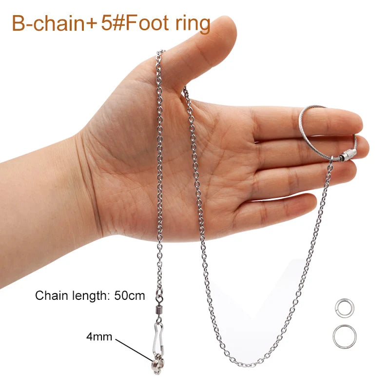 Bird Flying Training Chain