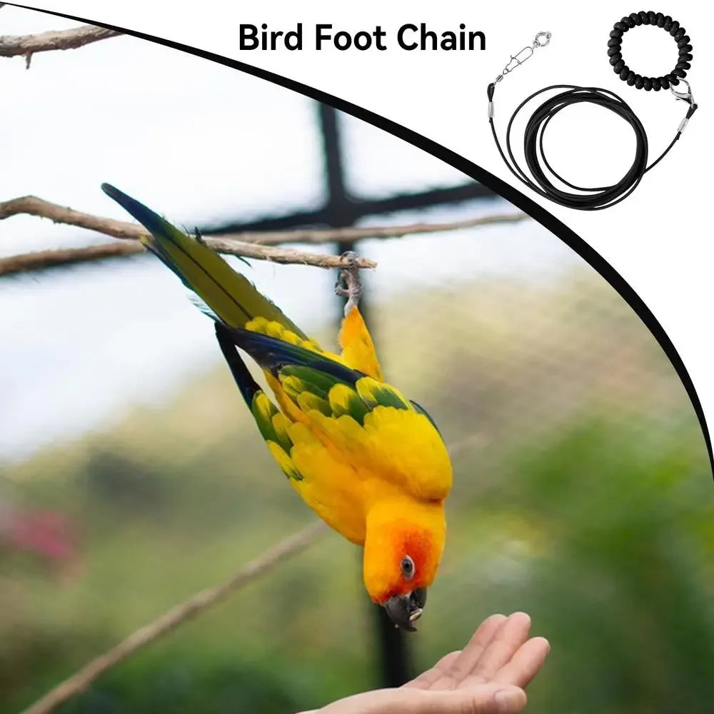 Bird Flight Training Leash