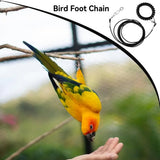 Bird Flight Training Leash