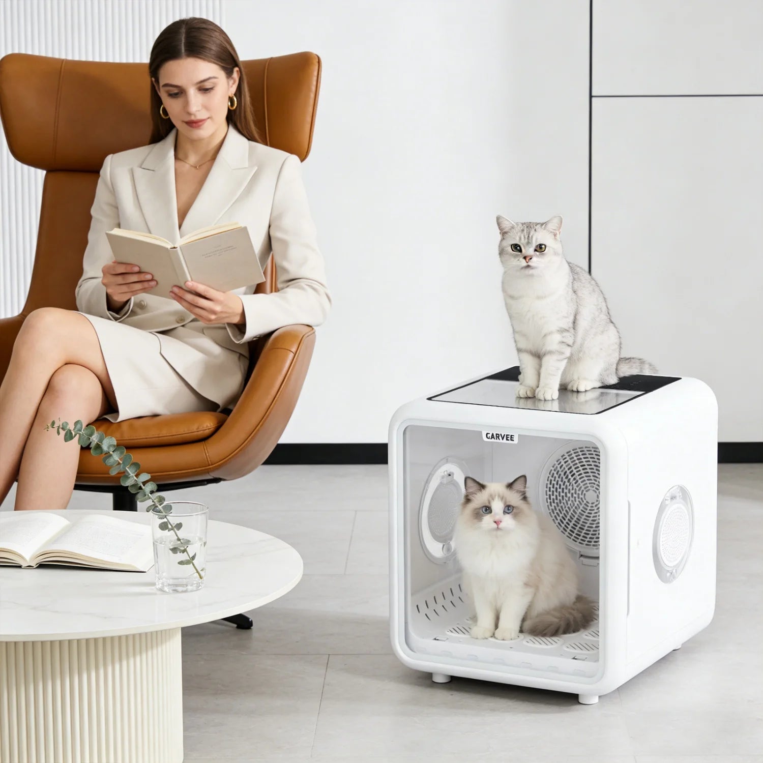 Smart Pet Drying Box