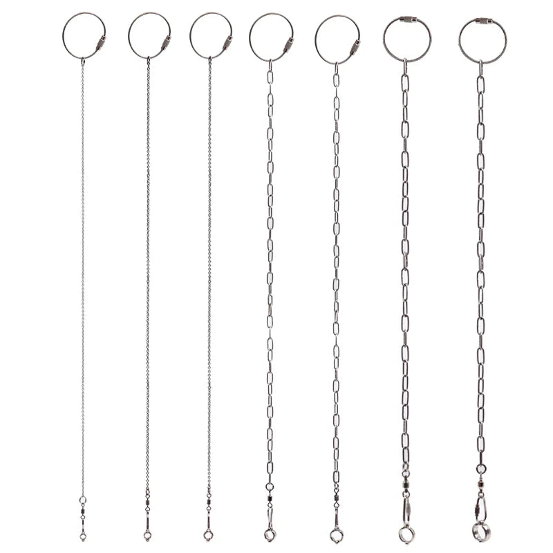 Bird Flying Training Chain