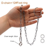 Bird Flying Training Chain