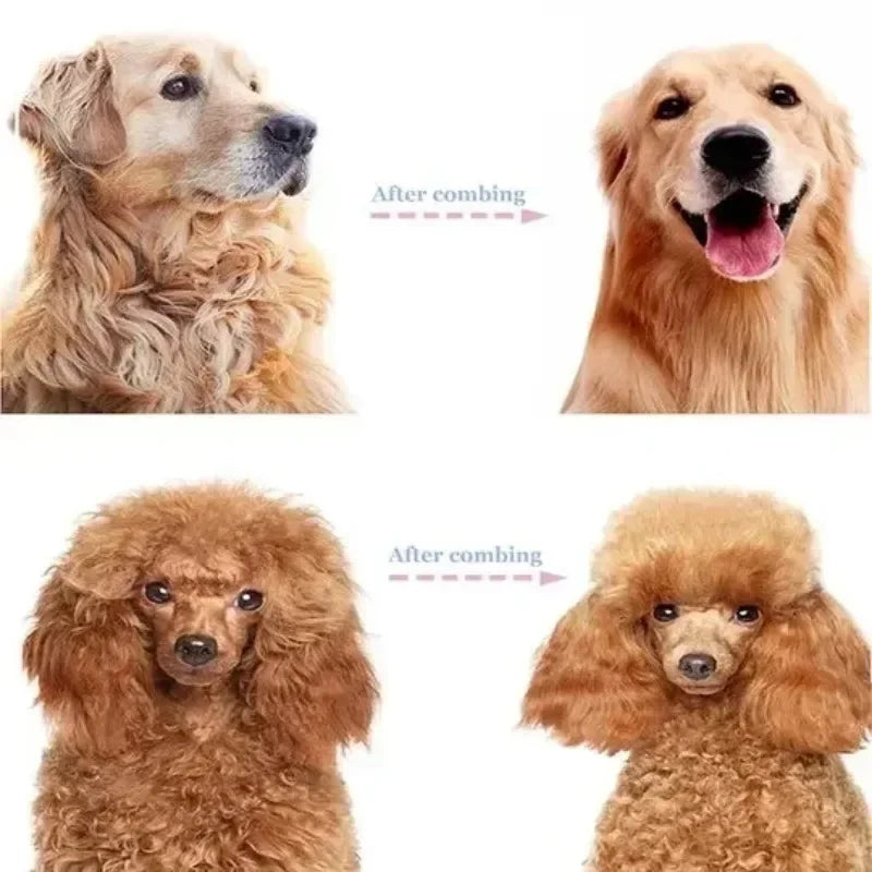 Pet Hair Remover Grooming Brush