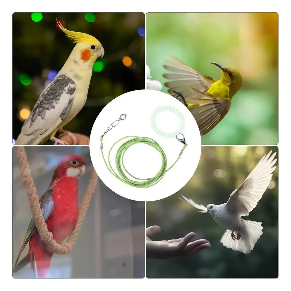 Bird Flight Training Leash