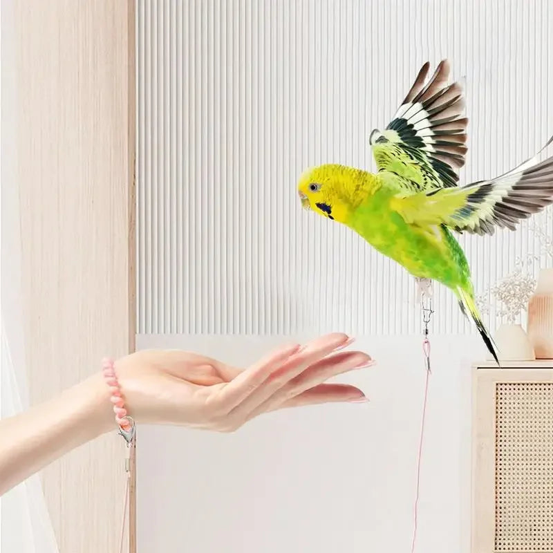 Bird Flight Training Leash