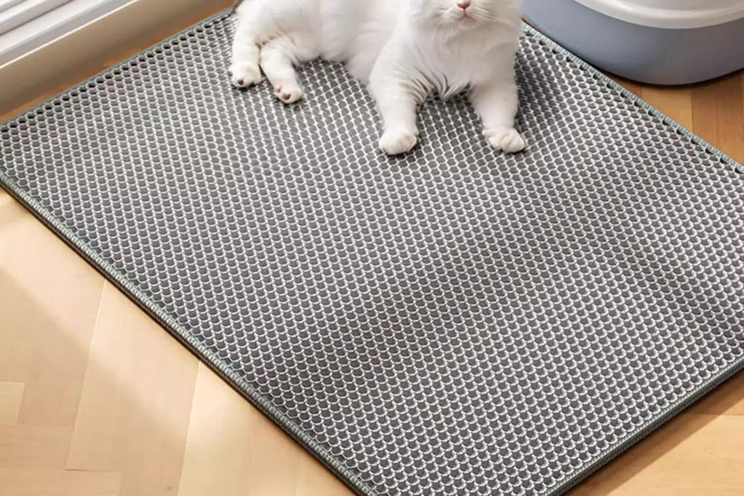 Extra Large Cat Litter Mat – Keep Your Floors Cleaner 🐱