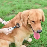 Pet Hair Remover Grooming Brush