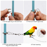 Bird Flying Training Chain