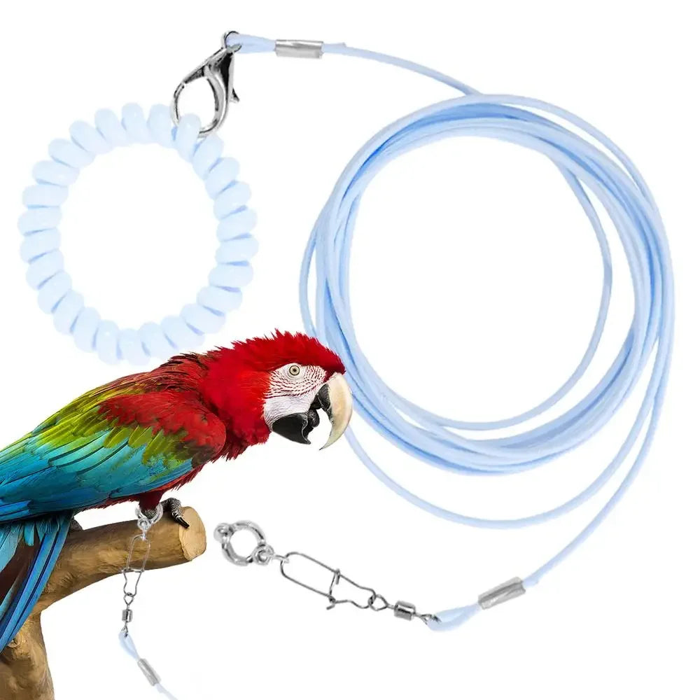 Bird Flight Training Leash