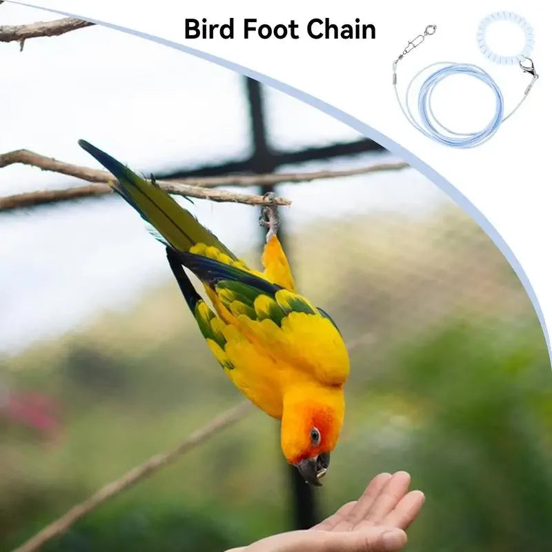 Bird Flight Training Leash