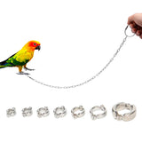 Bird Flying Training Chain