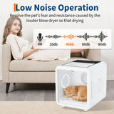 Smart Pet Drying Box