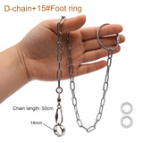 Bird Flying Training Chain