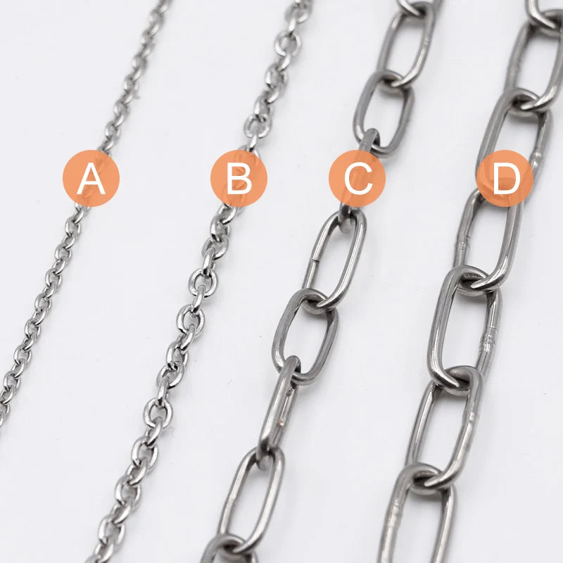 Bird Flying Training Chain